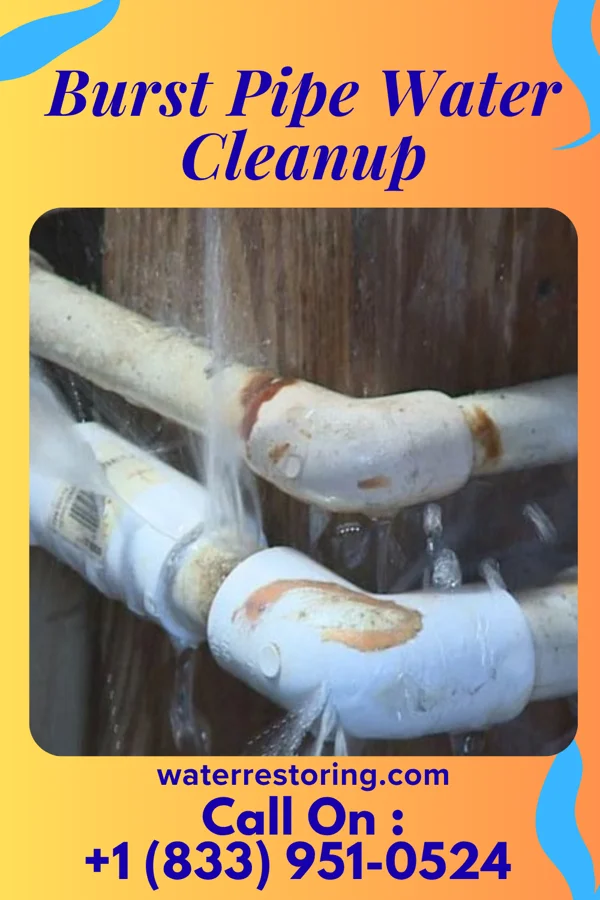 Burst Pipe Water Cleanup in Jal, NM