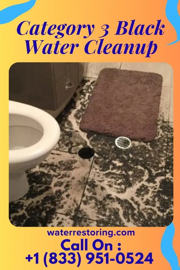 Category 3 Black Water Cleanup in Jal, NM