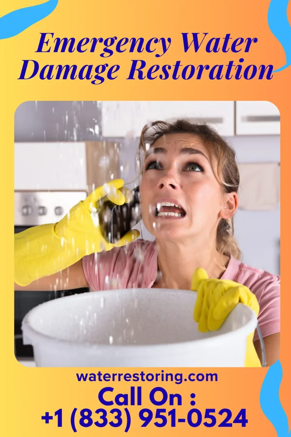 Emergency Water Damage Restoration in Jal, NM