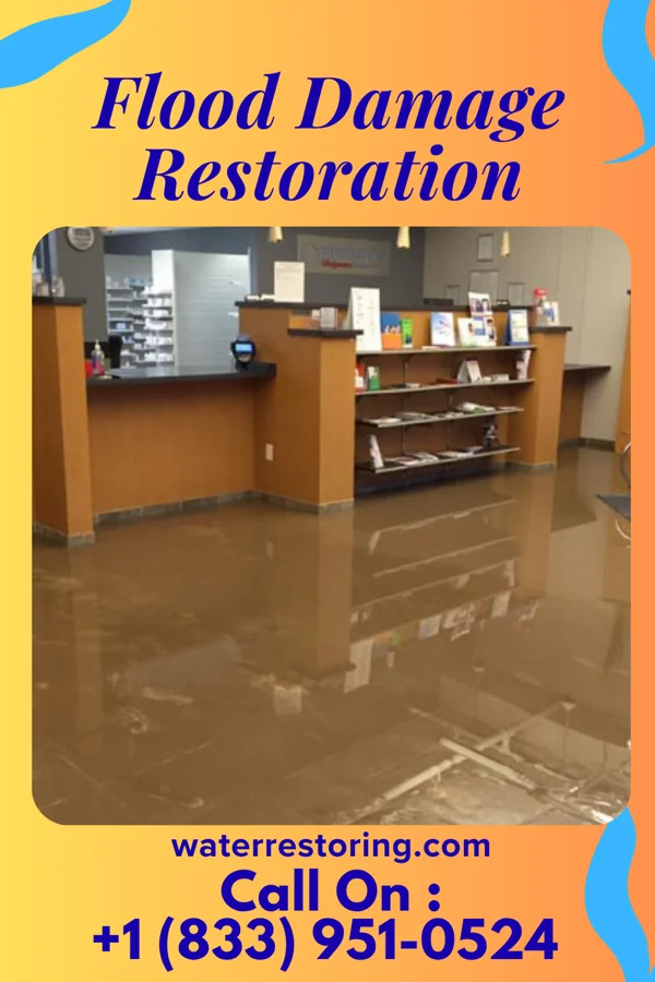 Flood Damage Restoration in Jal, NM